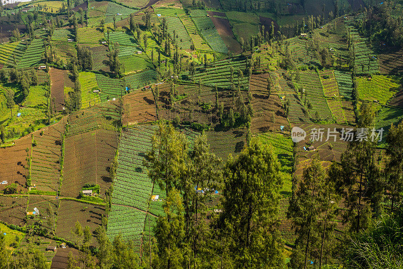 Bromo山附近的Cemoro Lawang村